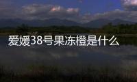 爱媛38号果冻橙是什么时候成熟